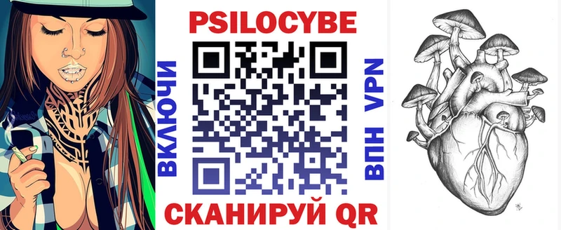 где можно купить наркотик  Анжеро-Судженск  Псилоцибиновые грибы Psilocybe 