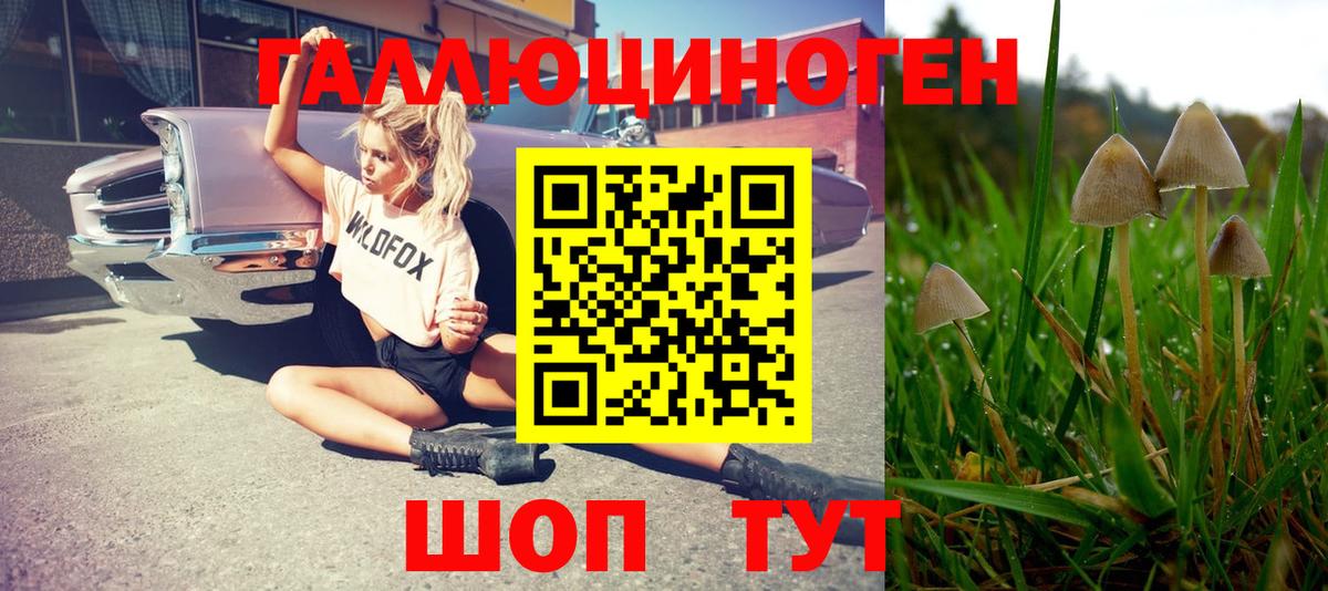 Галлюциногенные грибы прущие грибы Анжеро-Судженск