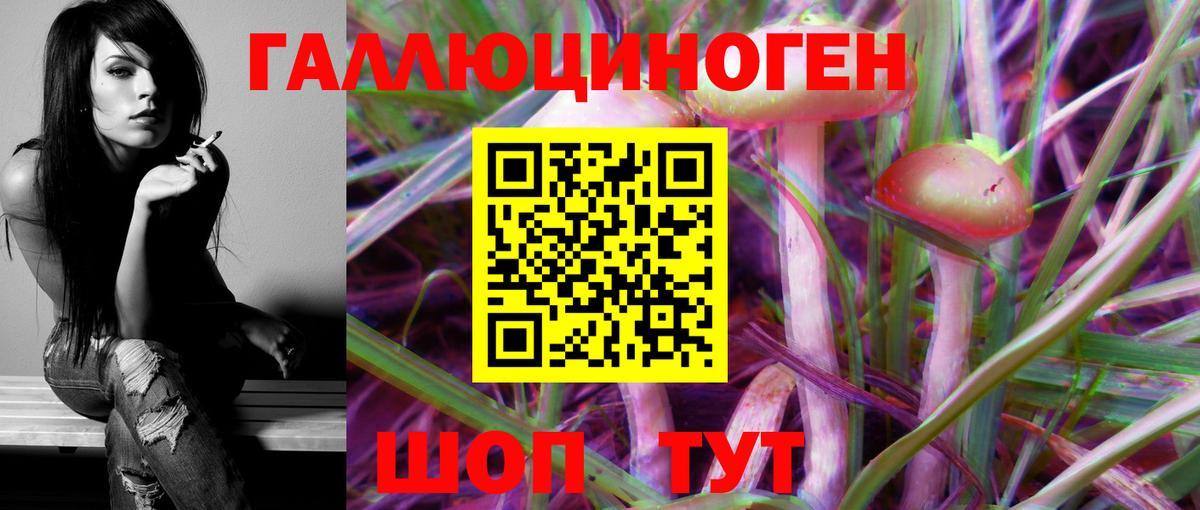 Анжеро-Судженск  Псилоцибиновые грибы MAGIC MUSHROOMS  Вход с VPN 