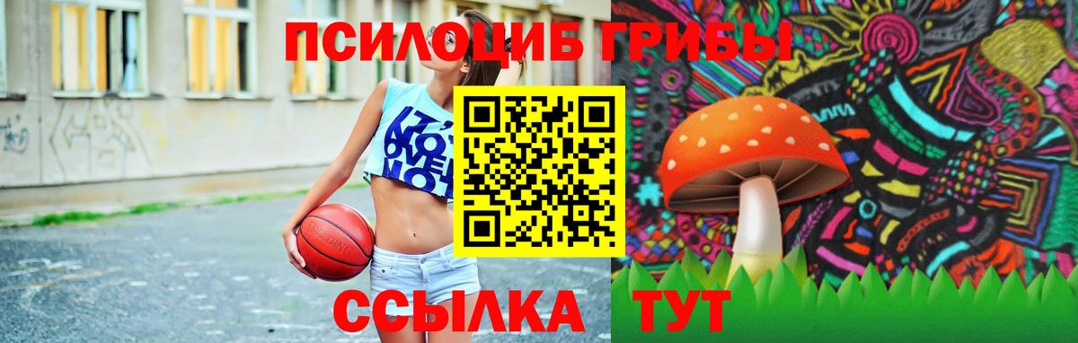 Галлюциногенные грибы GOLDEN TEACHER  Анжеро-Судженск  Галлюциногенные грибы Cubensis 